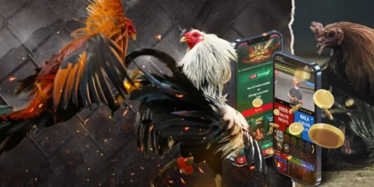 Hướng Dẫn Cách Chơi Đá Gà GA28 Tại VB77 Từ A Đến Z Cho Kê Thủ