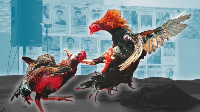 Bật Mí Cách Chơi Đá Gà Sabong Tại VB77 Giúp Bạn Thắng Lớn Mỗi Ngày