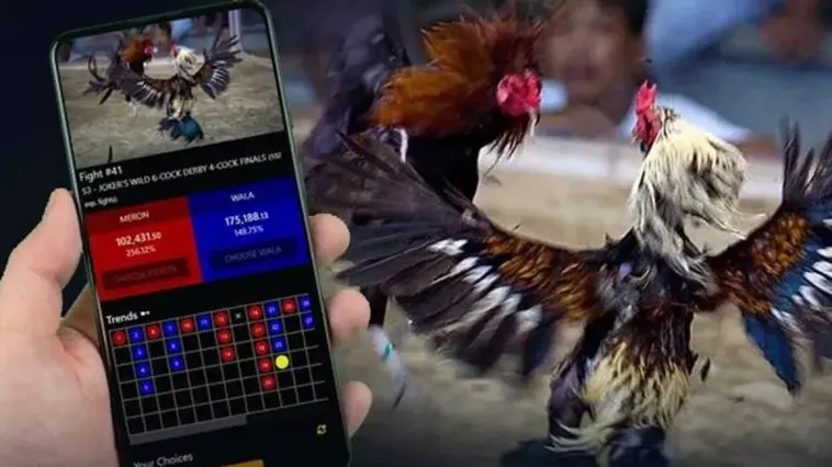 Khám Phá Đá Gà VB77 Nơi Các Kê Thủ Thể Hiện Đẳng Cấp Thật Sự