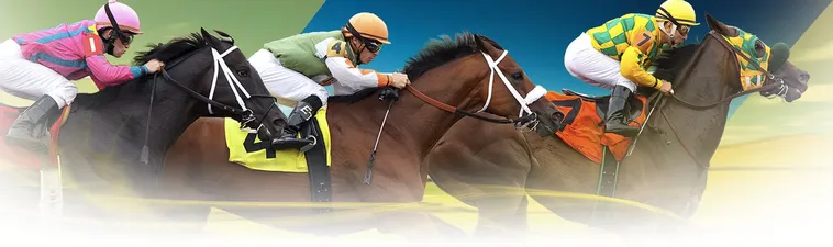 Khám Phá Cá Cược Đua Ngựa VB77 Bí Kíp Soi Kèo Chuẩn Từ Cao Thủ